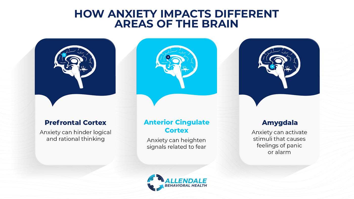 How Anxiety Impacts the Brain